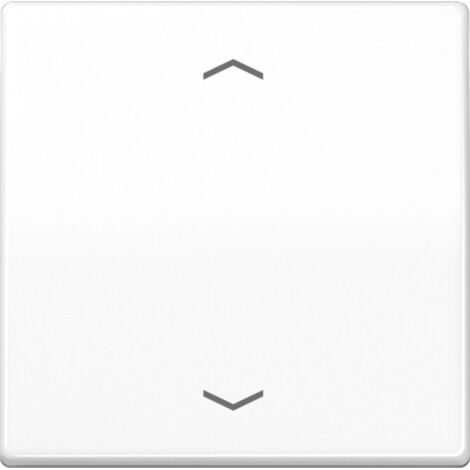 Jung Wippe Symbole aws für Taster AS 591 P WW