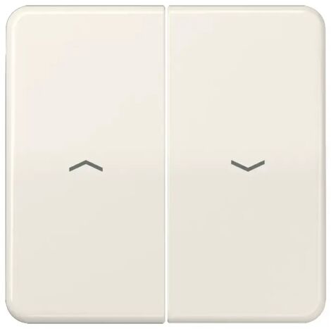 Jung Wippe Symbole ws für Taster CD 595 P
