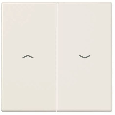 Jung Wippe Symbole ws für Taster LS 995 P