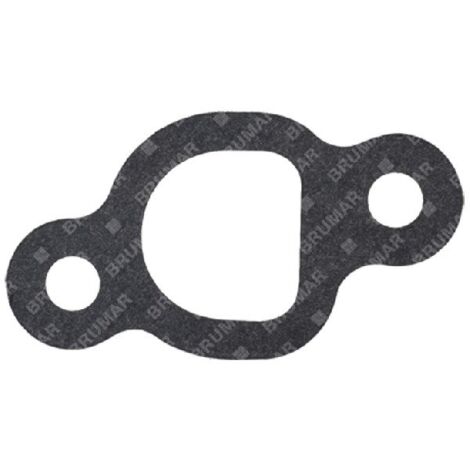 Junta de brida térmica DAYE - DAYEE - 054932