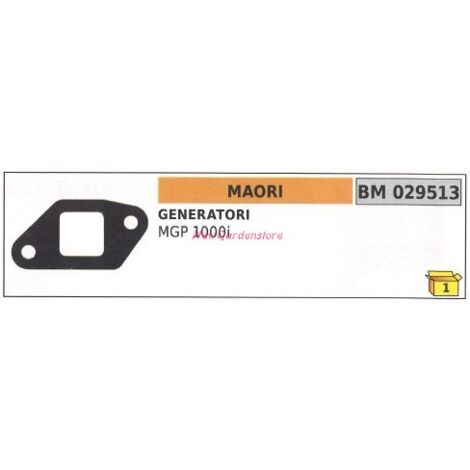 Junta generador MAORI MGP 1000i 029513