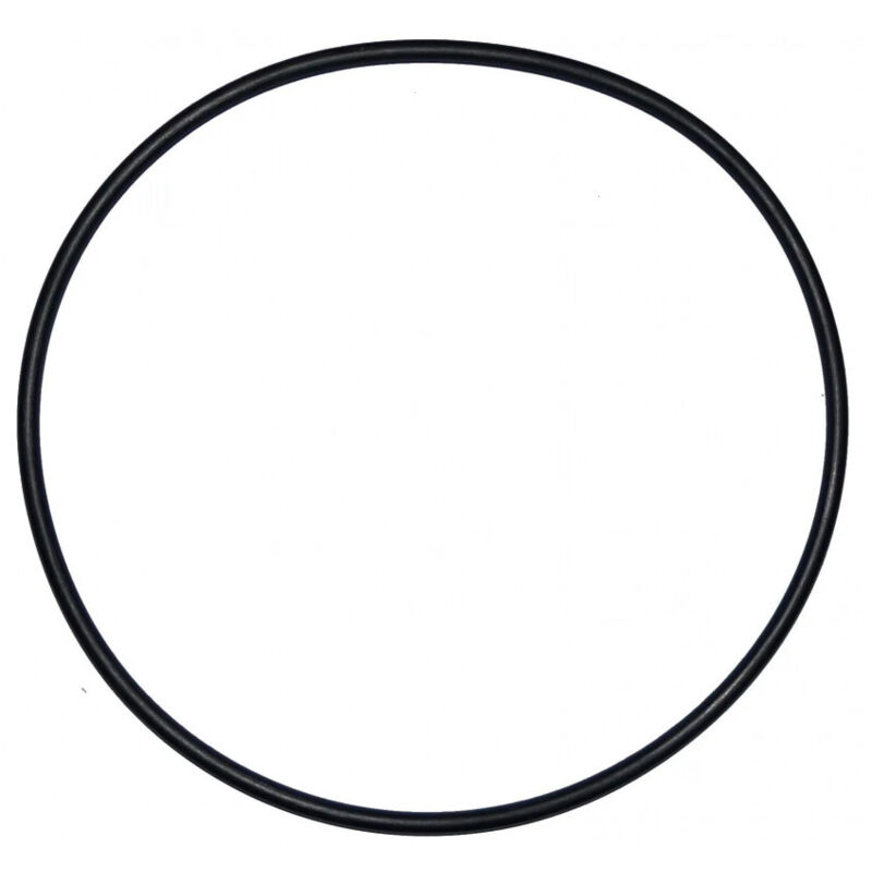 

Junta tórica de 180 mm de diámetro para la cúpula del filtro Ardeche (d.205 mm)