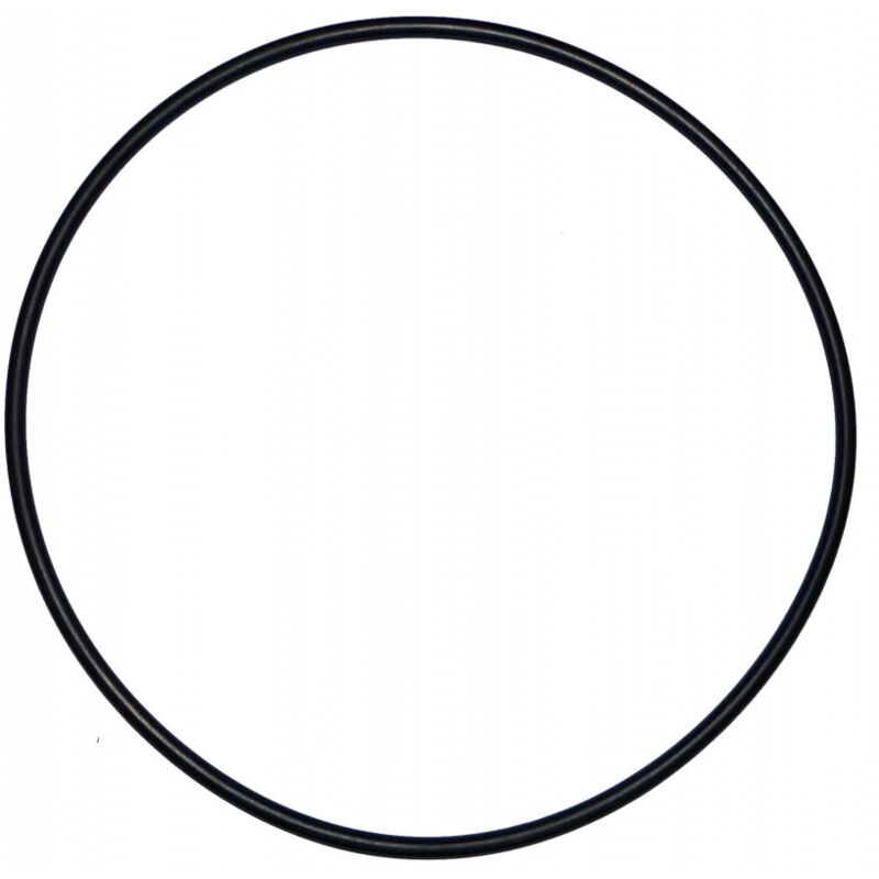 

Junta tórica de 200 mm de diámetro para el antiguo modelo de cúpula filtrante de Calpas (d.195 mm)
