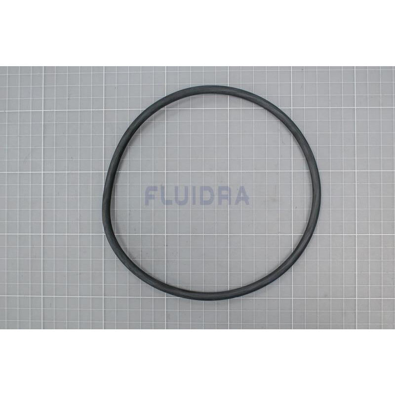 Astralpool - Junta Torica De La Tapa Para Filtro De