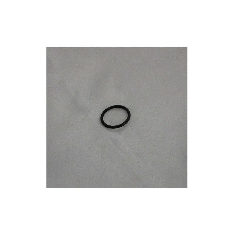 

Junta tórica de plástico negro, 23,47 x 2,62 mm - Kludi