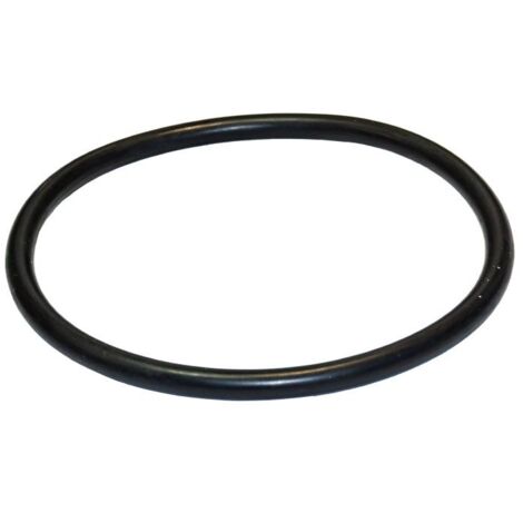 Junta torica del prefiltro de la bomba Optima ( 97,8 x 5,34 ) de Saci Pumps