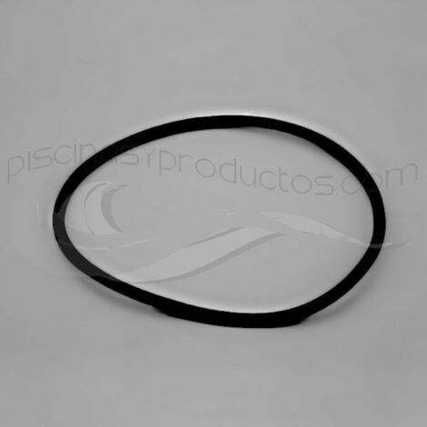 Junta tórica filtro para diversos filtros de piscina Astralpool