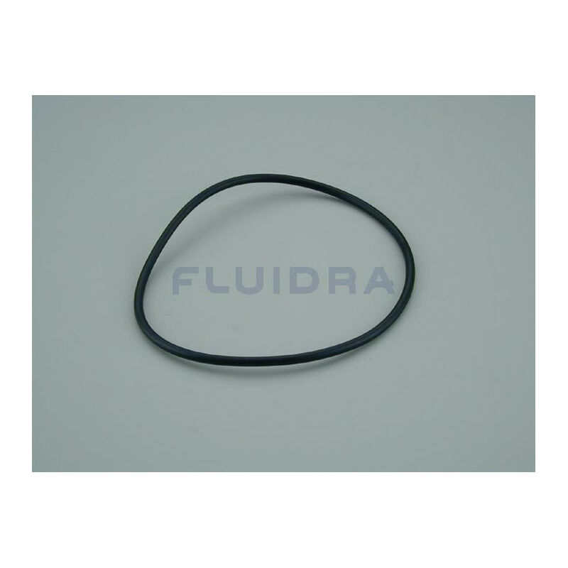 Astralpool - Junta Tórica Para Dosificador De Cloro