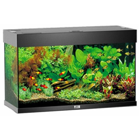 Acquario ambiente aqua nero 80 Led