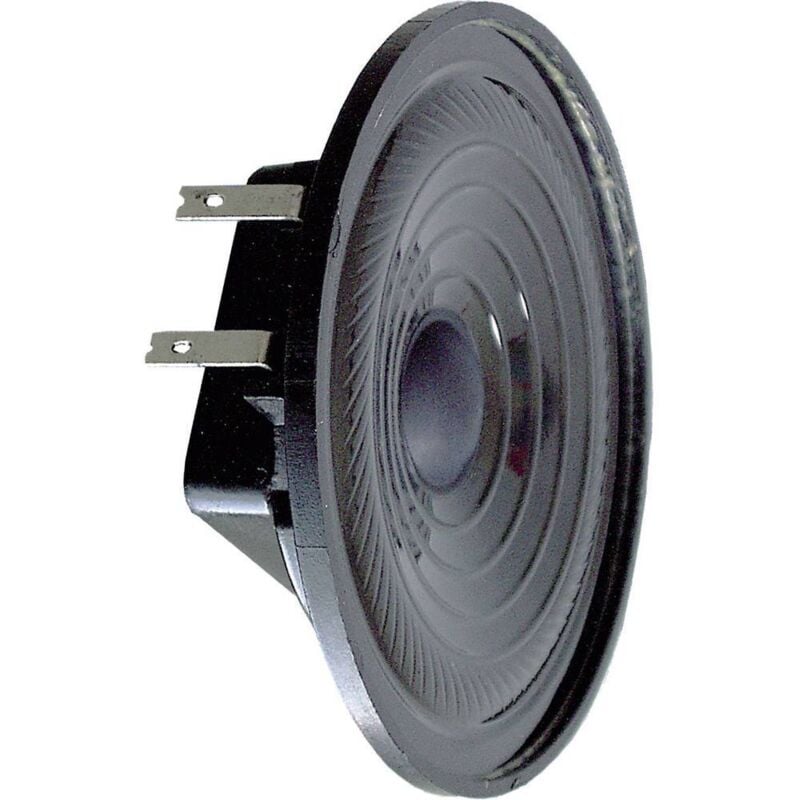 K 64 wp - 8 Ohm 2.5 pollici 6.4 cm Mini altoparlante 2 w 8 ω Nero Membrana in plastica - Visaton