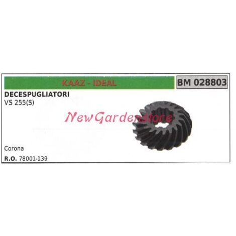 KAAZ pignon conique VS 255 (S) 028803