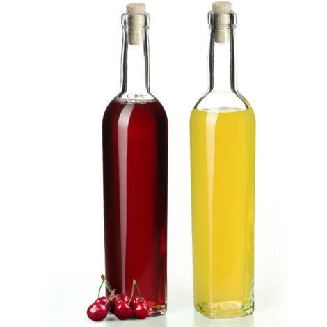 KADAX 2x Flacon 500 ml pour teintures avec liège Fi19