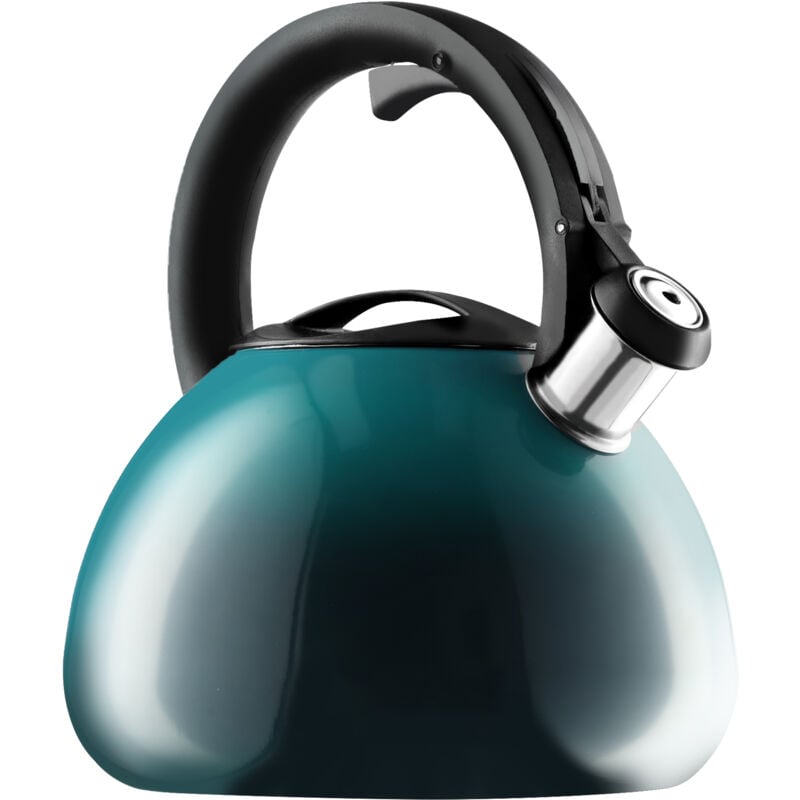 Kadax - Bouilloire avec Sifflet Gaz Induction Acier 2,6L