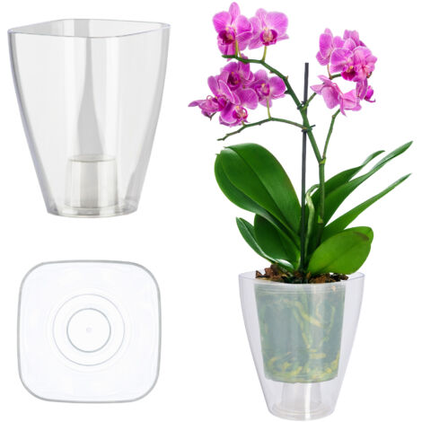 KADAX Maceta, Maceta de Margarita de Orquídea Simple y Delgada para Cocina y Sala de Estar, diámetro 9 cm, Rectangular, Transparente