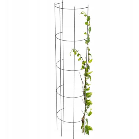 KADAX Pergola de Jardin Colonne pour Fleurs Roses 120 cm