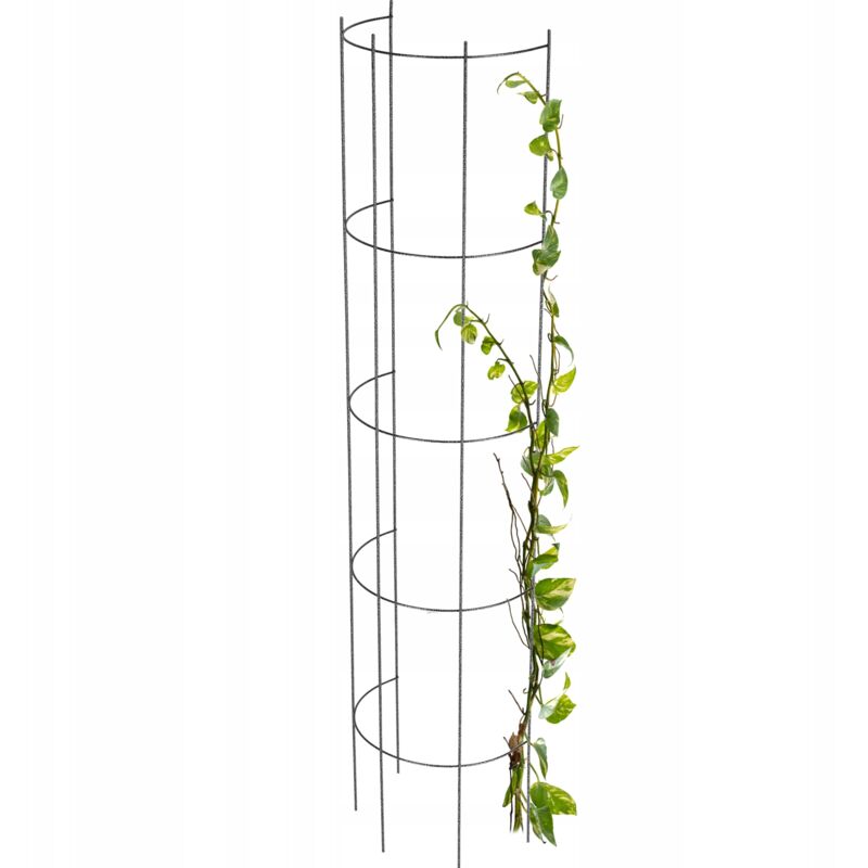 Pergola de Jardin Support Métallique pour Fleurs Roses Plantes Colonne 150cm - Kadax