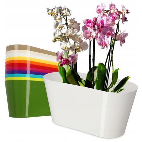 KADAX Pot de fleurs en plastique - 27 x 13 cm - Grand pot ovale - Pour orchidées, bellis, pensées, drazènes (blanc)