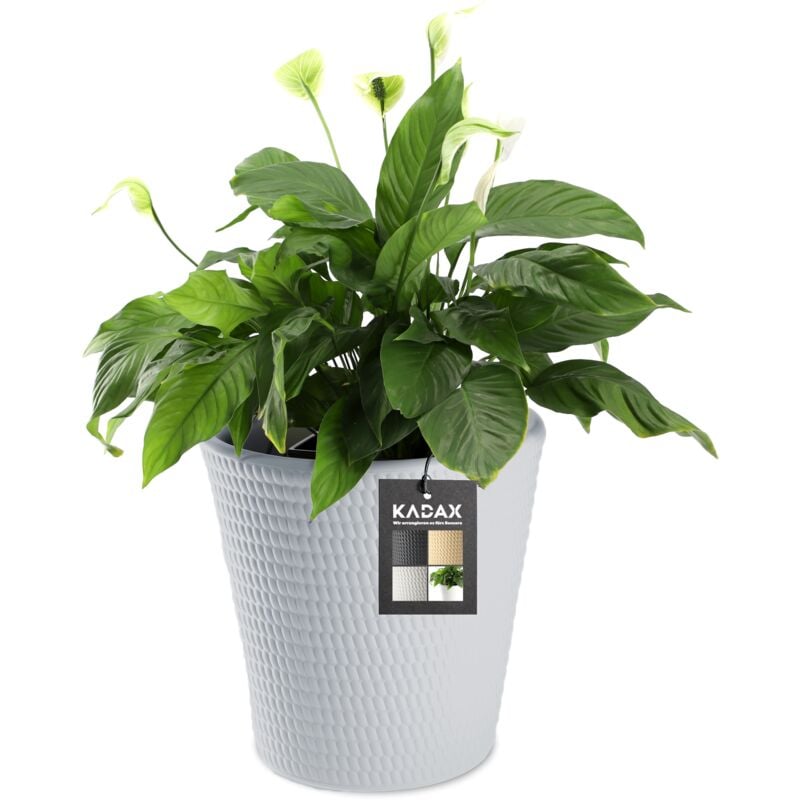 Pot de fleurs en plastique, disponible en 3 couleurs, résistant aux intempéries, avec surface mate, pot de fleurs d'extérieur (gris ø 30 cm) - Kadax
