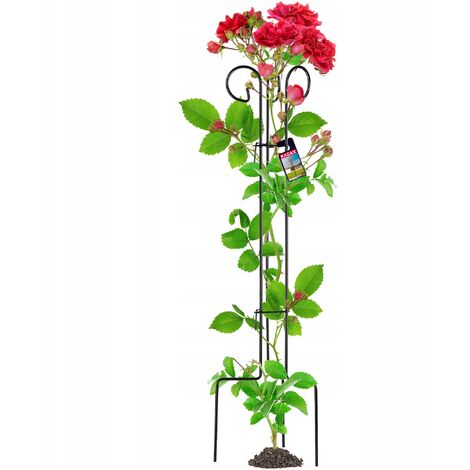 KADAX Rankhilfe aus Stahl, freistehende Pflanzenstütze für Rosen, 120 cm