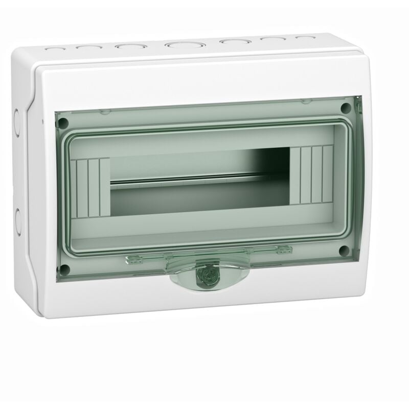 Schneider Electric - Armoire en saillie avec porte transparente Minikaedra Schneider 12