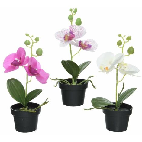 Kaemingk Orchidea Artificiale in Vaso - Assortiti - 13x10x25 cm