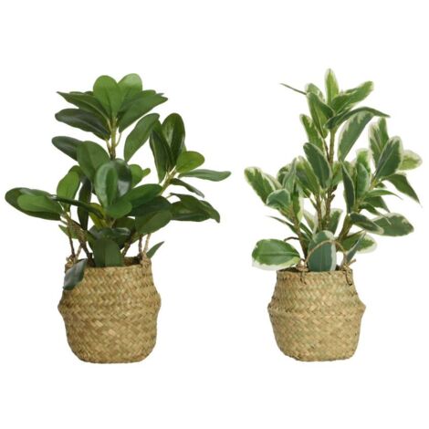 Kaemingk Pianta Artificiale - Verde - 25x25x35 cm