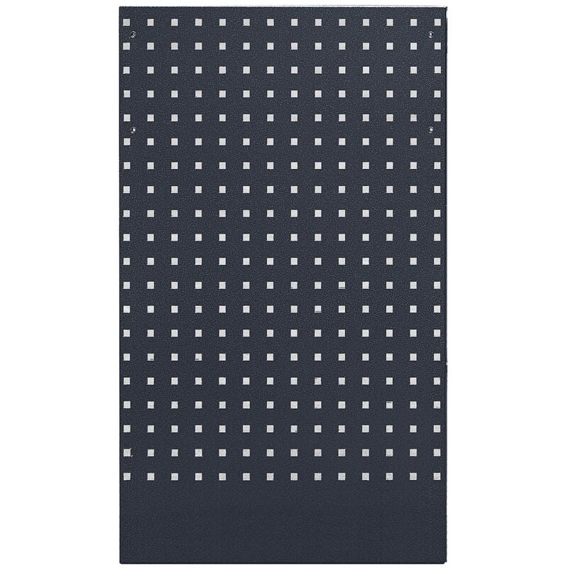 Certeo - frankel kaiserkraft, Plaque perforée, h x l 1052 x 614 mm,