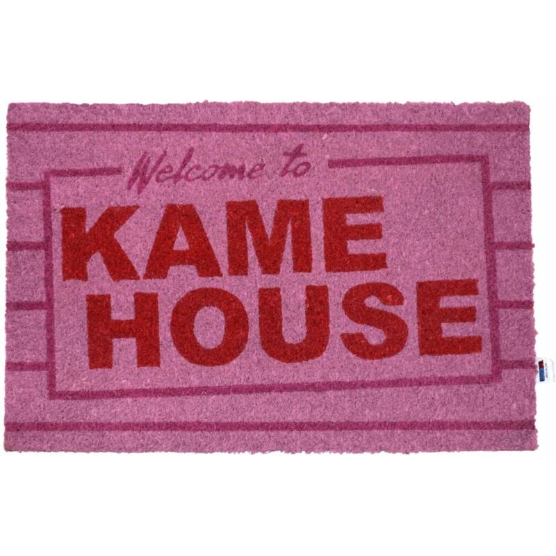 Dragon Ball Paillasson Kame House 40 X 60 Cm Sd Toys Sdtdrb22594