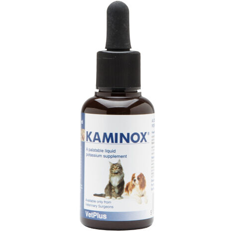 KAMINOX 60ML