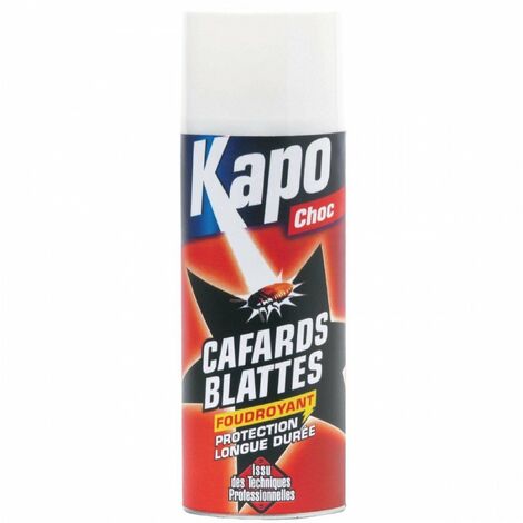 Aérosol foudroyant contre cafards et blattes 400ml