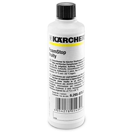 2x Kärcher RM 519 Nettoyant moquettes et tapis 3 en 1 (1000ml) : :  Autres