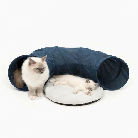 Katzenabend mit blauem Bett