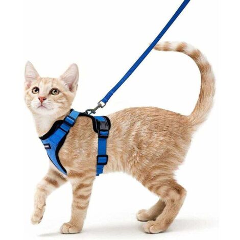 Katzengeschirr Kleine Hundeleine Verstellbares Kätzchengeschirr Blau XS Reflektierendes Katzengeschirr Halsband Atmungsaktive Weste für Kaninchen, Europäische Katze, Maine Coon, Perser, Top Clip mit L