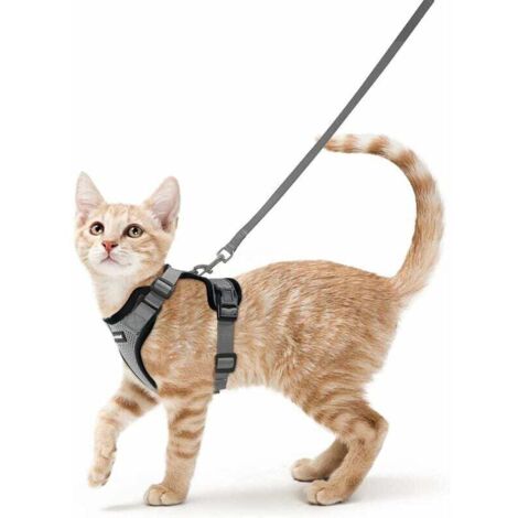 Katzengeschirr Kleine Hundeleine Verstellbares Kätzchengeschirr Grau XS Reflektierendes Katzengeschirr Halsband Atmungsaktive Weste für Kaninchen, Europäische Katze, Maine Coon, Perser, Top Clip mit L
