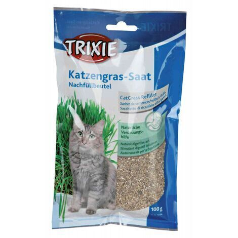 Katzenminze Gerste 100 gr.