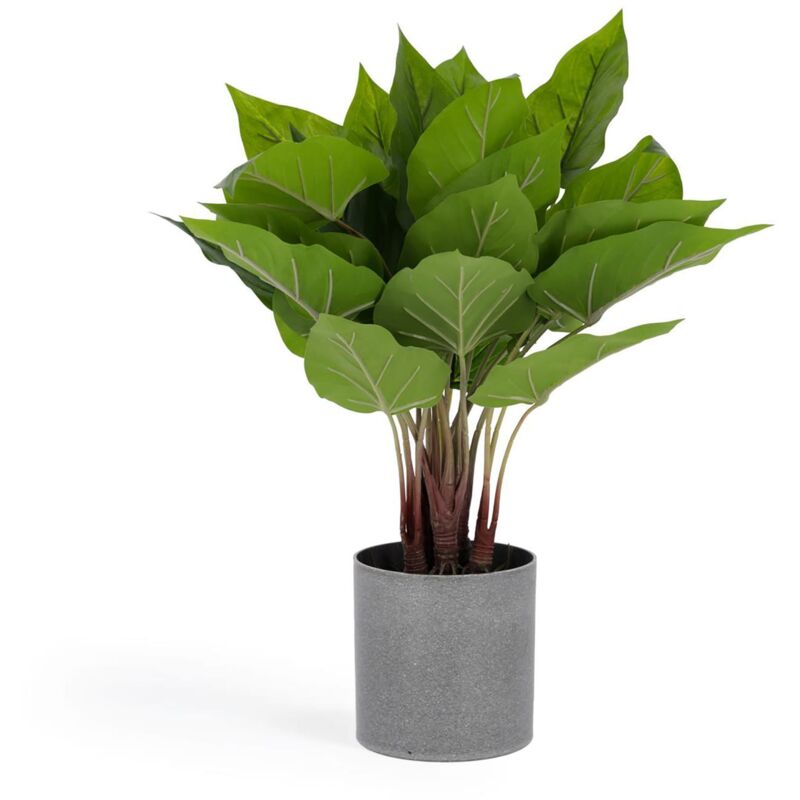 

Kave Home - Planta artificial Anthurium con maceta de cemento 50 cm