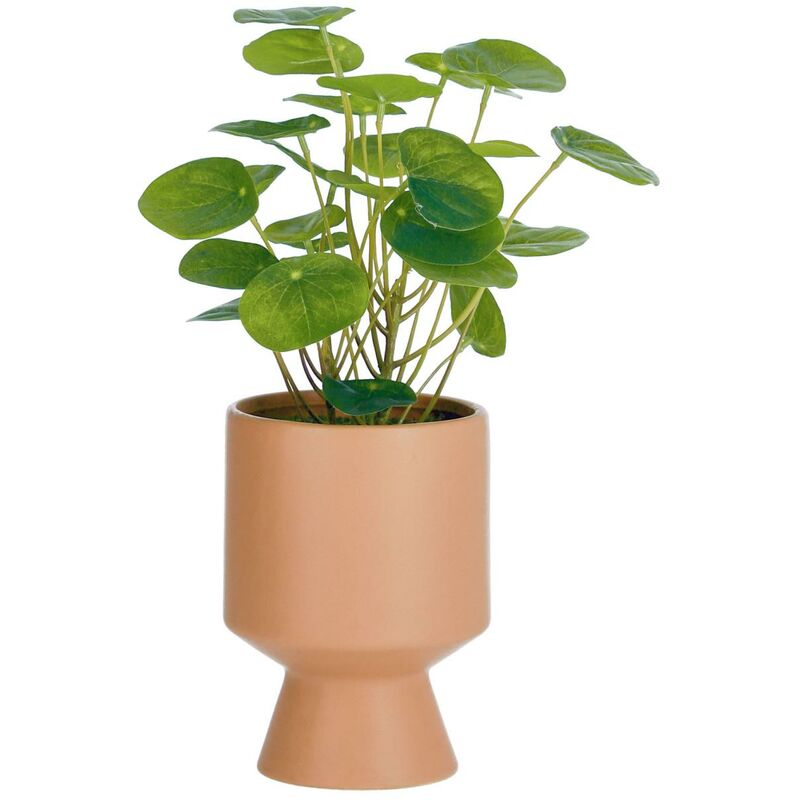 

Planta artificial Bailey con maceta de cerámica rosa 21,6 cm - Kave Home