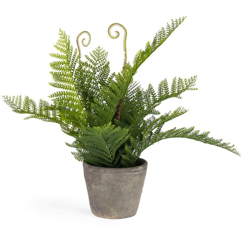 

Planta artificial Filicopsida con maceta de cemento 35 cm - Kave Home