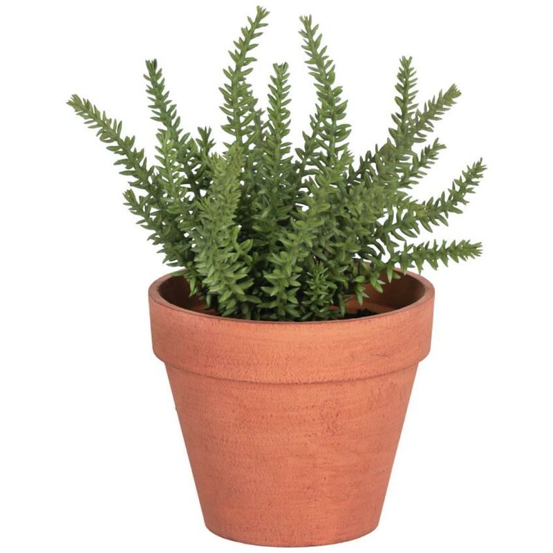 

Planta artificial Romero con maceta marrón 23 cm - Kave Home