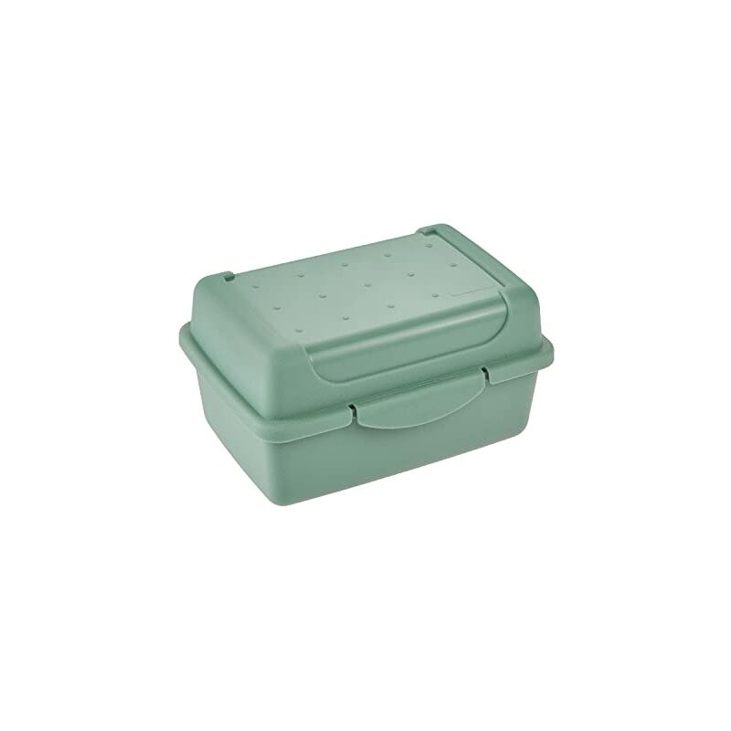 Keeeper Boîte Fraîcheur Avec Fermeture À Clic, 11 X 7,5 X 6 Cm, 350 Ml, Luca Micro, Vert Nordique 1069131500000