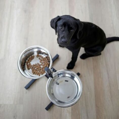KERBL Bar alimentation avec ecuelle pour chien - 2x2800ml