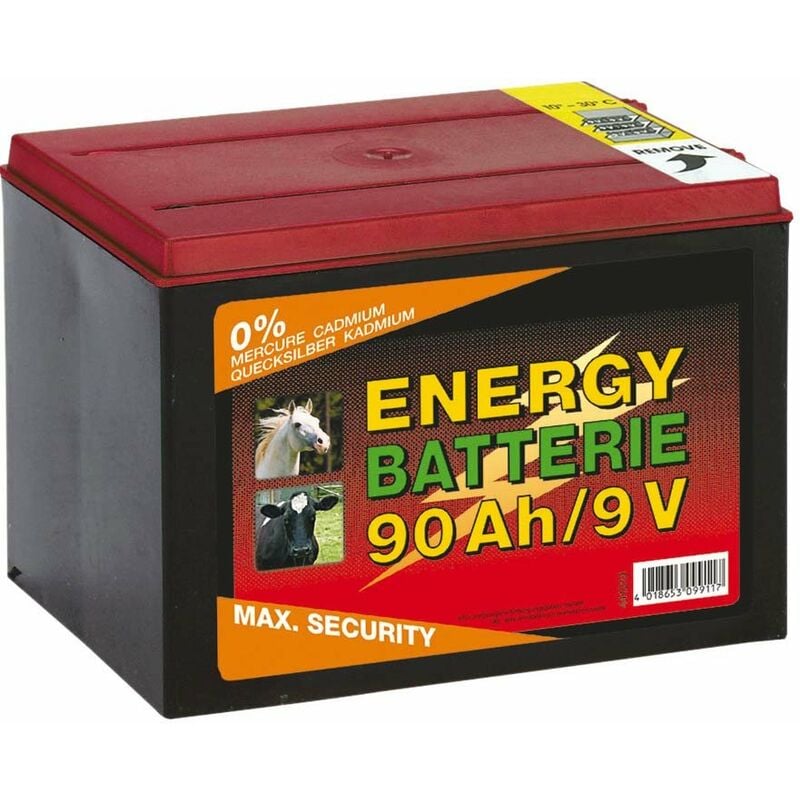 Batterie 9V pour électrificateur complète avec câbles de 10.000 heures d'autonomie non rechargeable