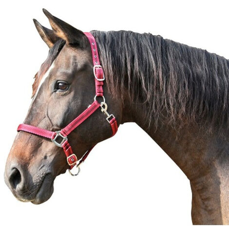 Kerbl Cabazada Horse Mustang, Nylon, doppelte Einstellung, Rot, Gr¤e 3