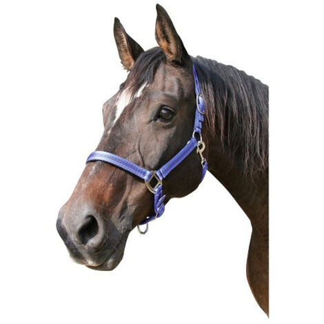 Kerbl Cabazada Horse Mustang, nylon, doppia regolazione, blu, taglia 2