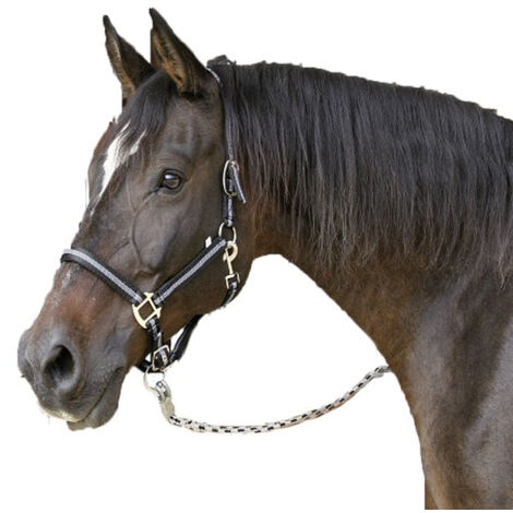 Kerbl Cabazada Horse Mustang, nylon, doppia regolazione, nero, taglia 1