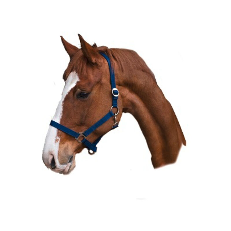 

Cabezada Clásica Caballo Nylon, Azul, Talla 2 - Kerbl