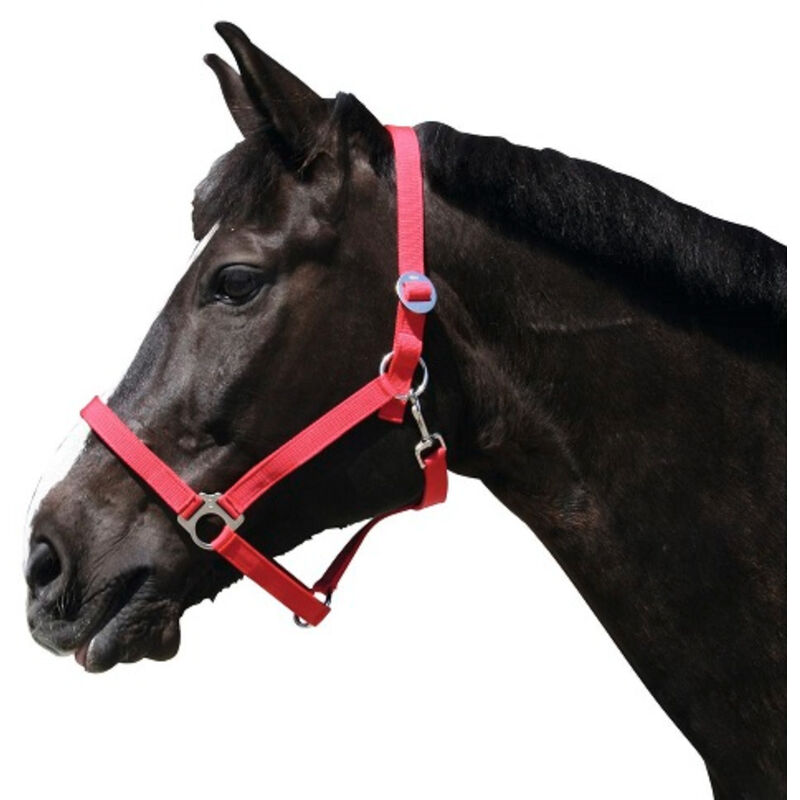 

Cabezada Clásica Caballo Nylon, Rojo, Talla 3 - Kerbl