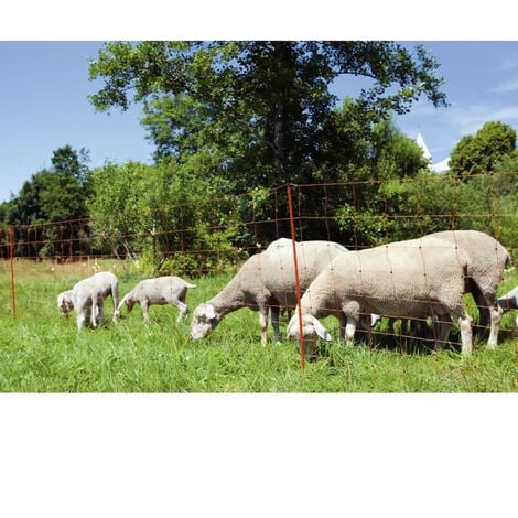 Corral Filet mouton Ovinet 90cm, 1 pointe, orange, 50m