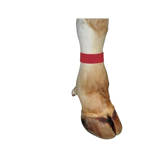 Kerblarmband mit Klettverschluss fÐ©r Rindfleisch, 33 x 4 cm, rot