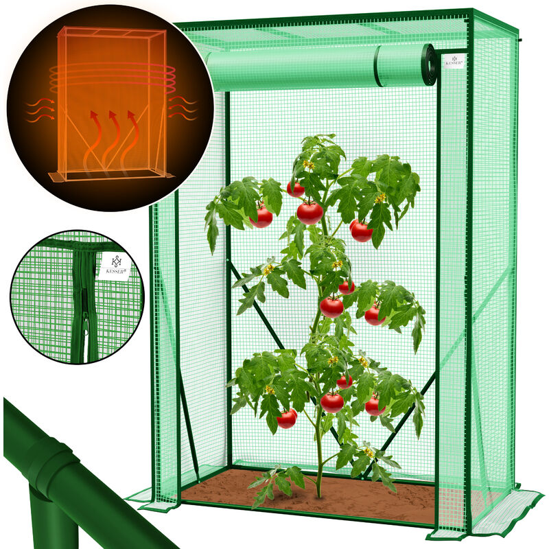 Premium Serre à tomates en film plastique Petite serre Serre à tomates Serre avec porte à enrouler Vert / 100 x 50 x 150 cm - Kesser